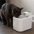 Paws and Splash Cat Fountain