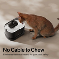 Paws and Splash - No Cable to Chew
